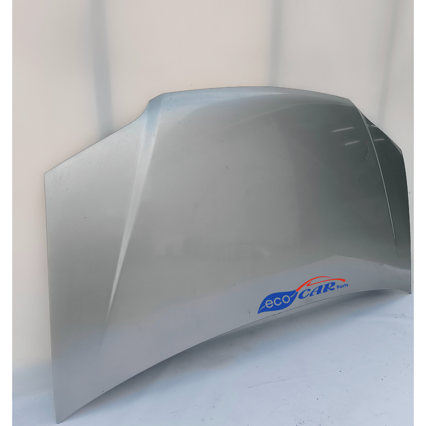 Stahlgraue Motorhaube Fiat Idea 2006 ecoAG6567