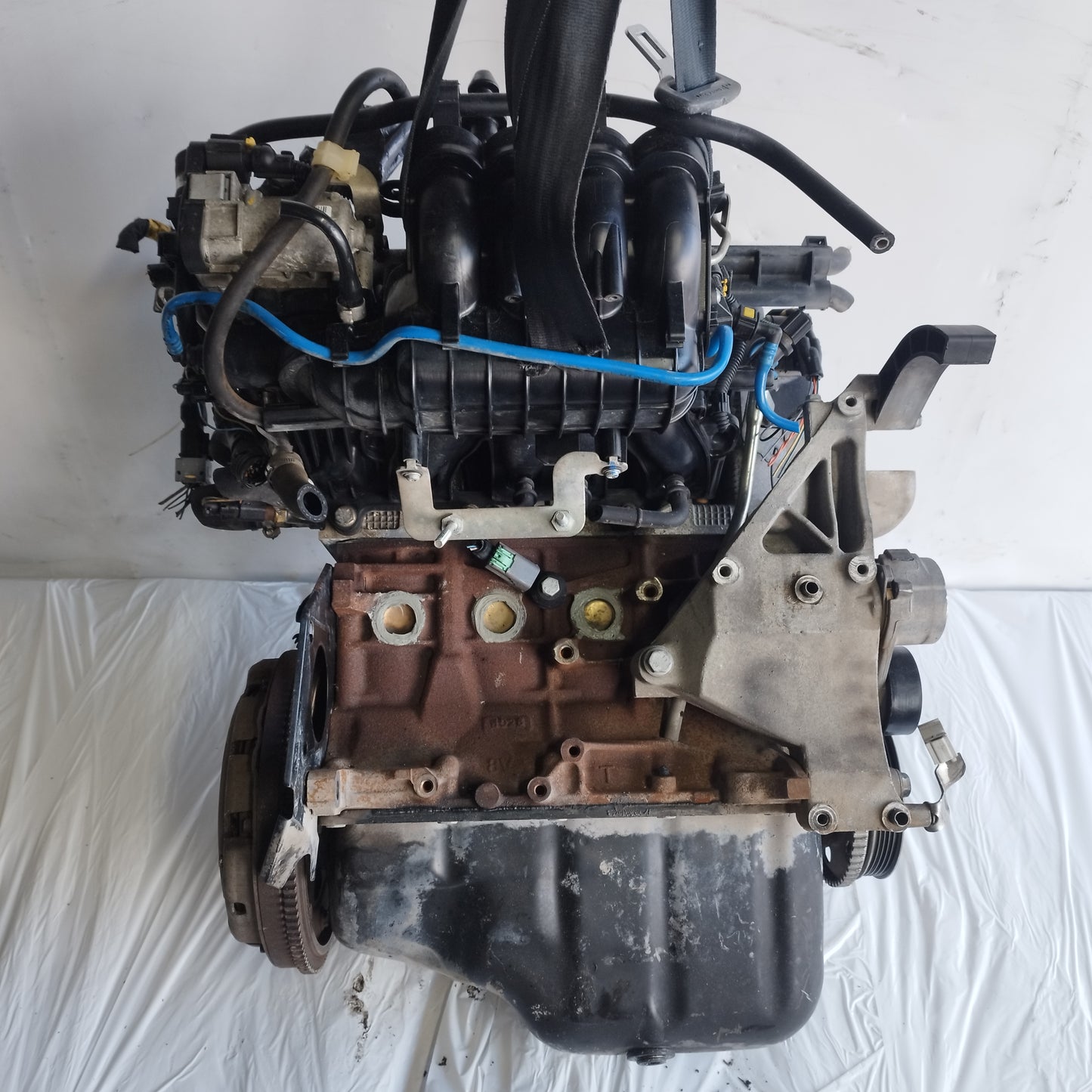 Motore Fiat Grande Punto / Punto Evo 1.4 B 57kw 2005-2012 cod: 350A1000  ecoAC15019