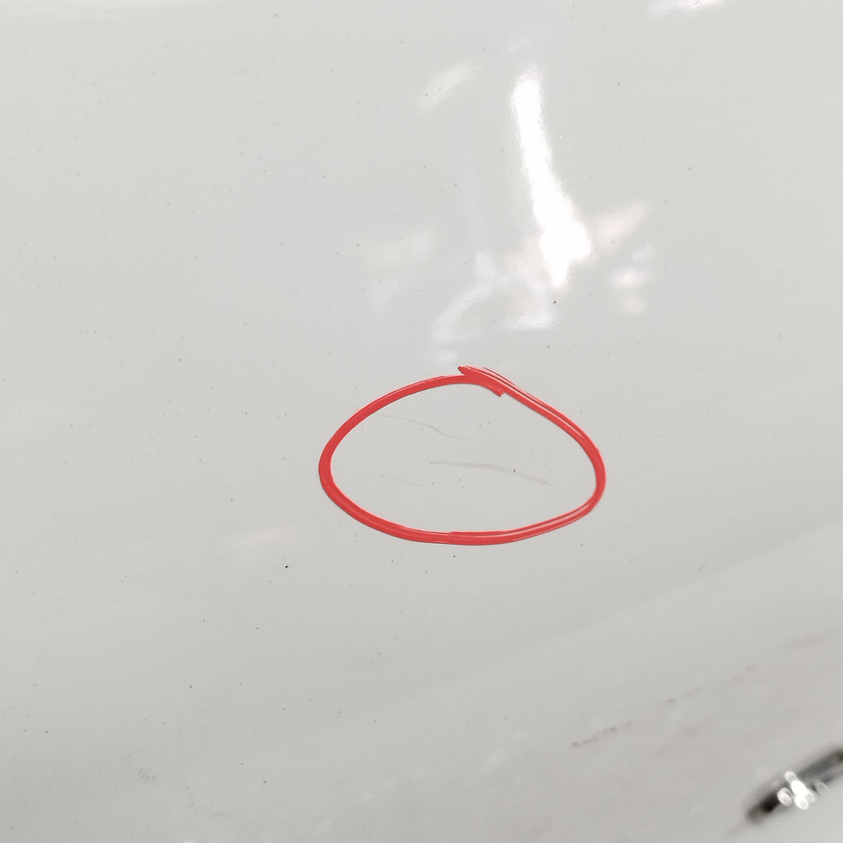 Portellone bianco Citroen C3 III (SX) 2016-2024 ecoAC16965