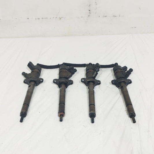 Iniettori Bosch Ford / Citroen / Peugeot 1.6 D 2007 cod: 0445110259 ecoAC14712