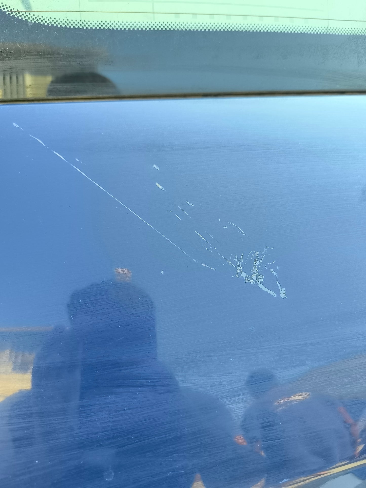 Renault Scenic 2005 ecoAG7261 blaue Heckklappe