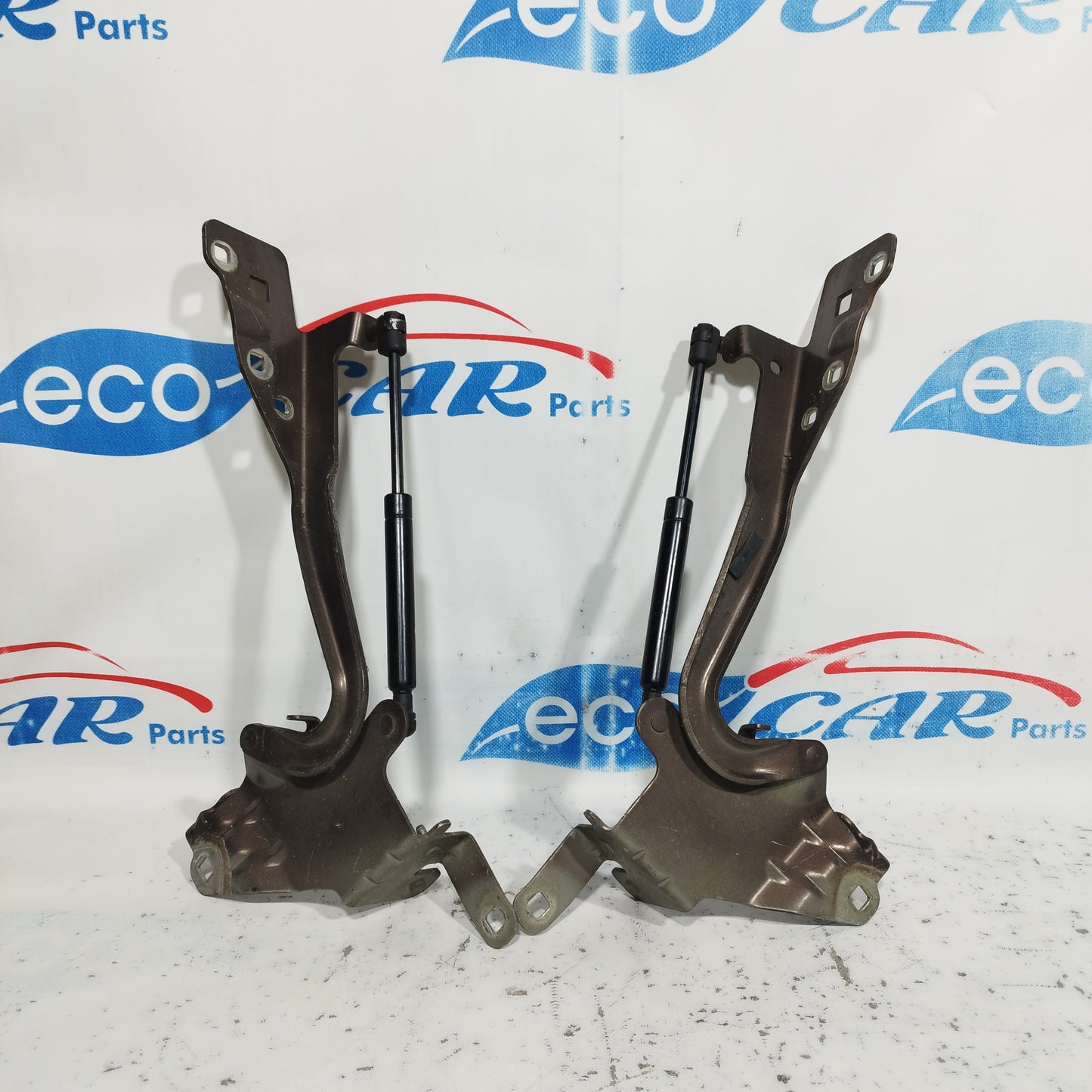 Front bonnet hinges Renault Scenic 2010 Cod: 654010004R ecoAC8422