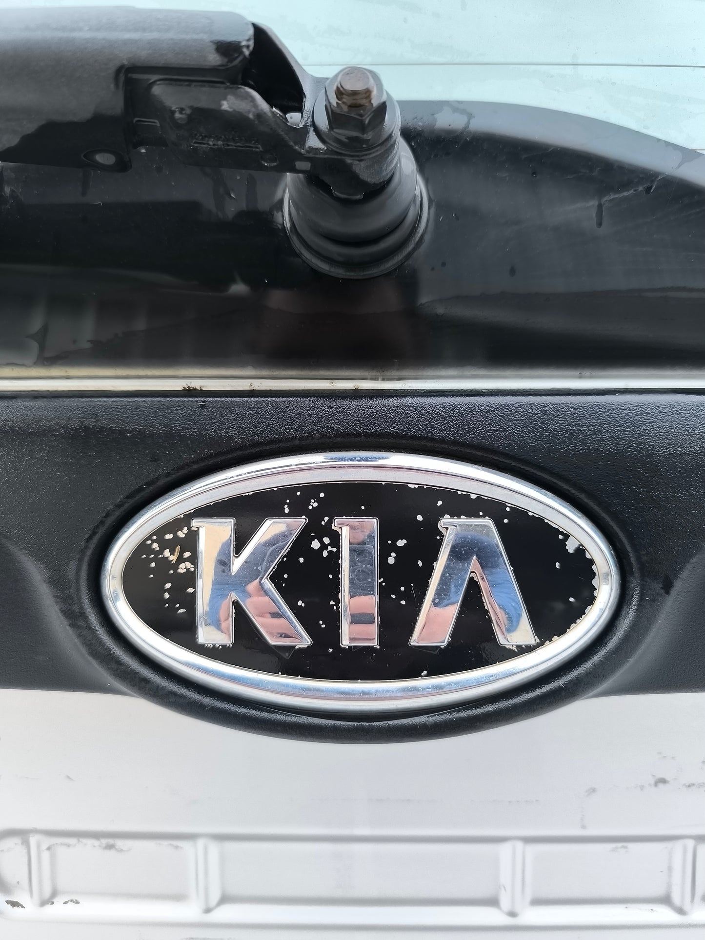 Portellone grigio argento Kia Picanto anno 2006 ecoAG8018