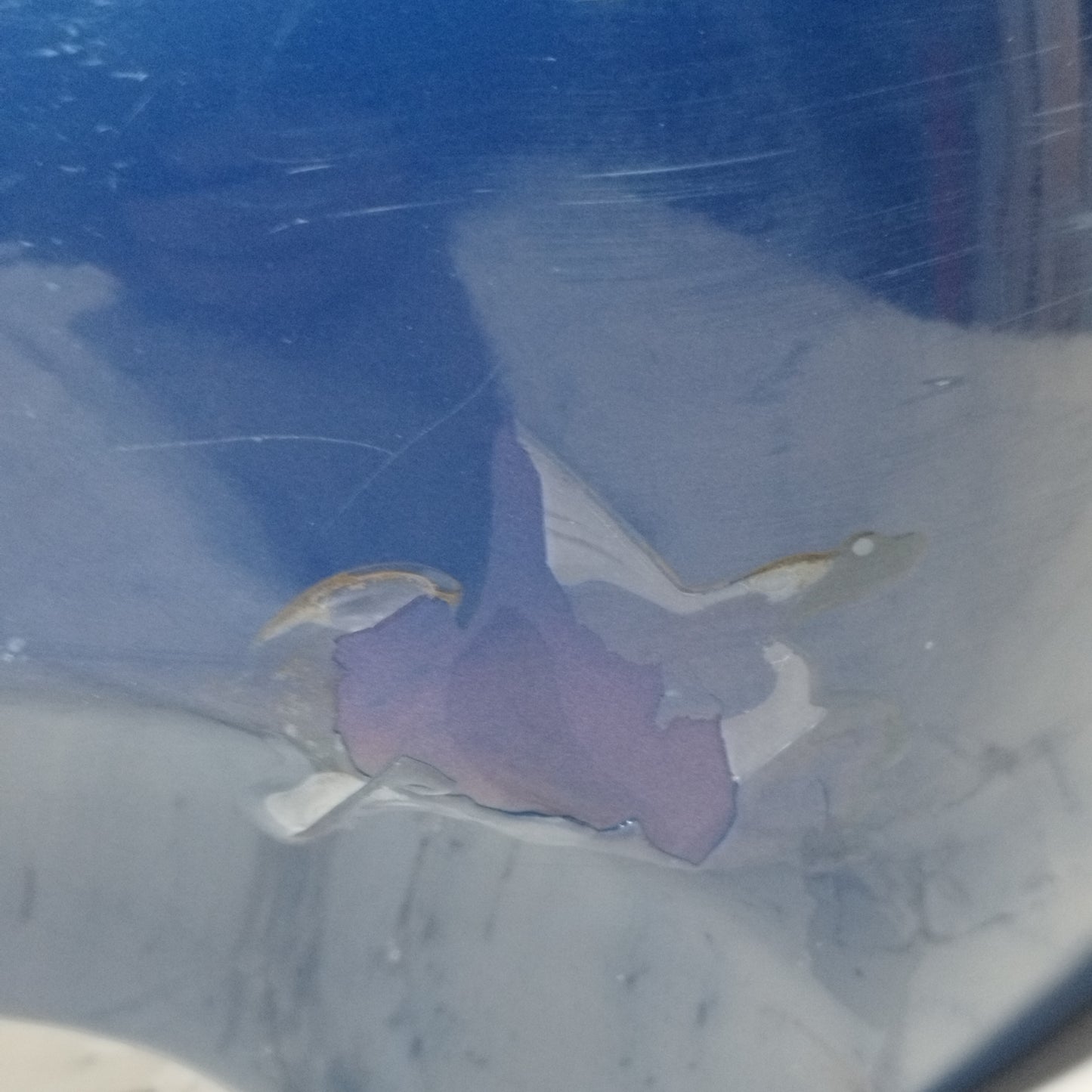 Alfa Romeo GTV 1998 ecoAC11031 Blue Rear Bumper