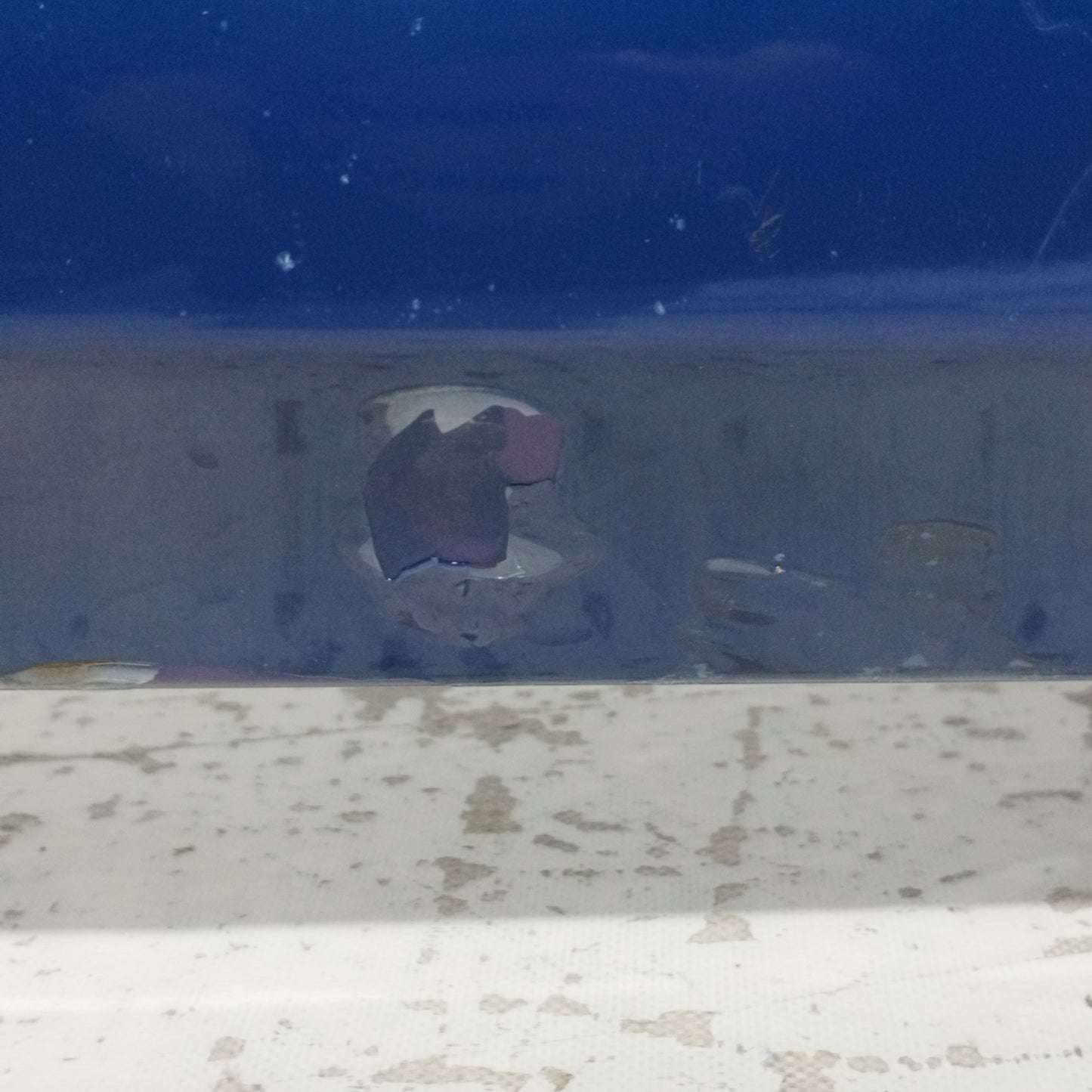 Alfa Romeo GTV 1998 ecoAC11031 Blue Rear Bumper