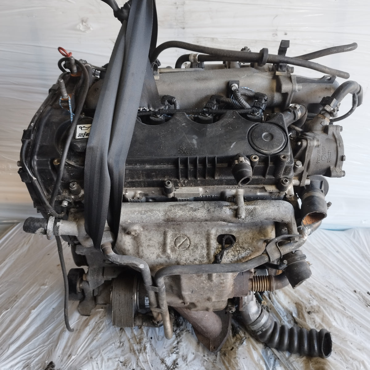 Motore Fiat Punto II 1999-2003 1.9 JTD ecoAC17115