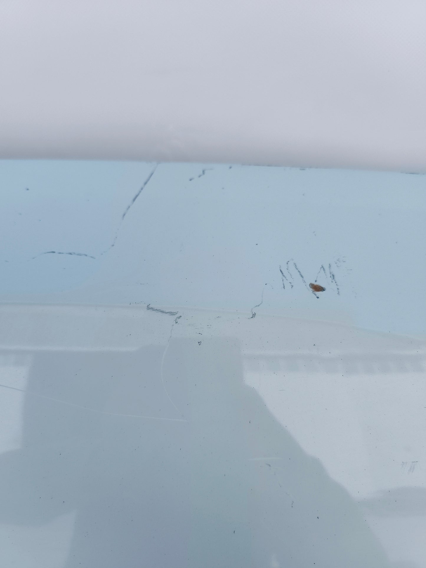 Weiße Motorhaube Opel Movano B 2016 ecoAG6363