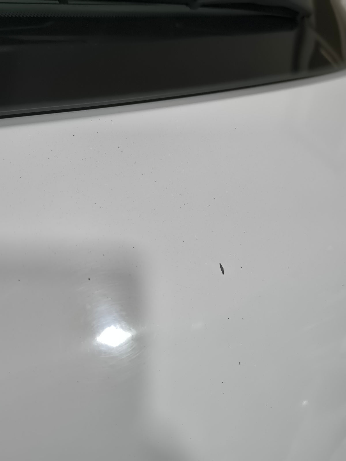 Portellone bianco Citroen C4 Picasso II (B78) 2013-2018 ecoAG9722