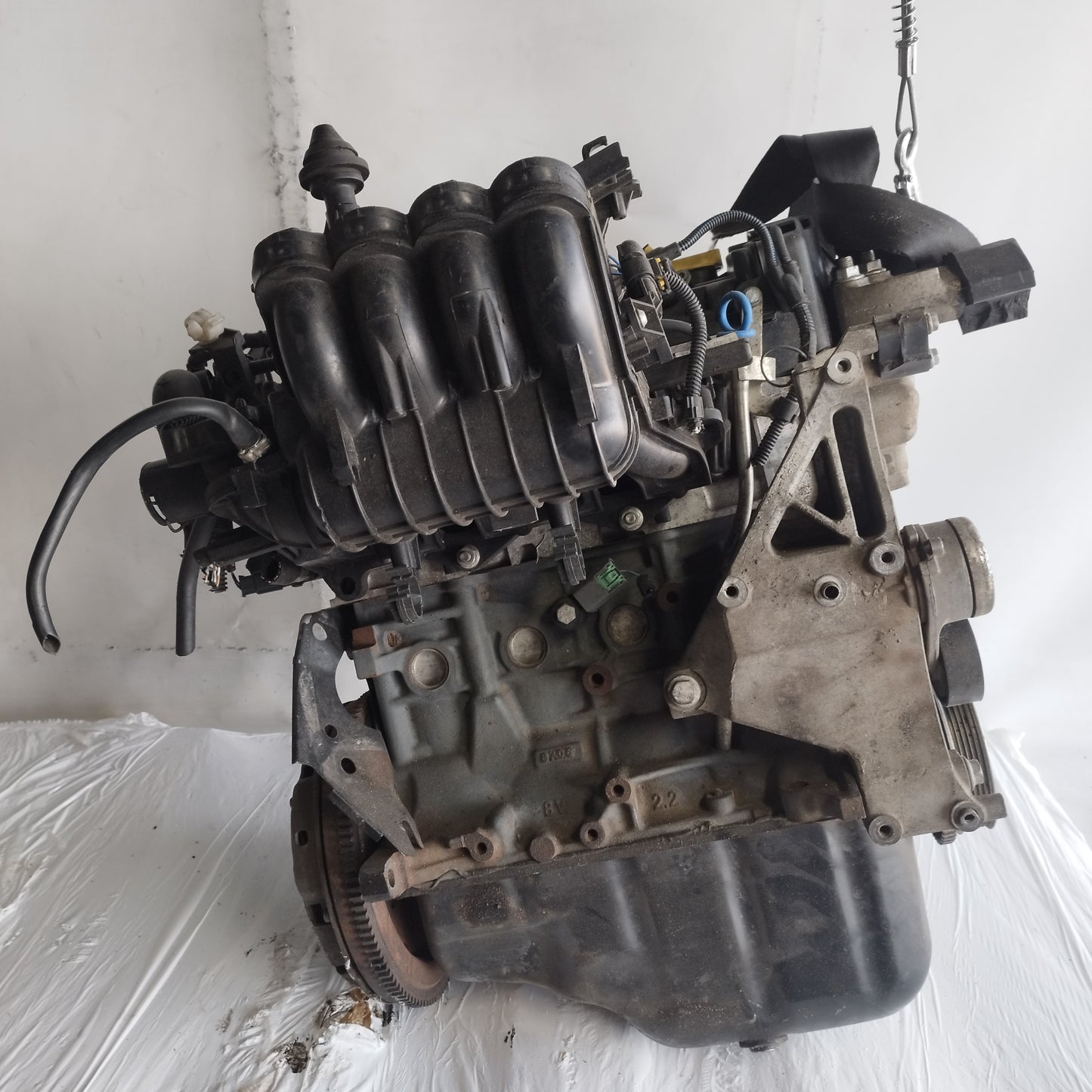 Motore Fiat 500 / Panda / Lancia Y / Ford Ka 1.2 B 8v 70cv 2012-2020 cod: 169a4000 ecoAC15734
