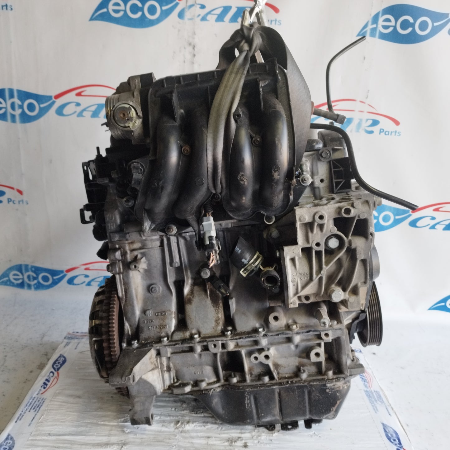 Motore Peugeot 206 / Citroen C3 1.1 b 8v 2006 cod: HFX ecoAC8771