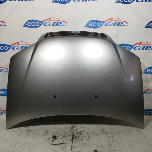 Graue Motorhaube Fiat Punto 2005 ecoAC10058