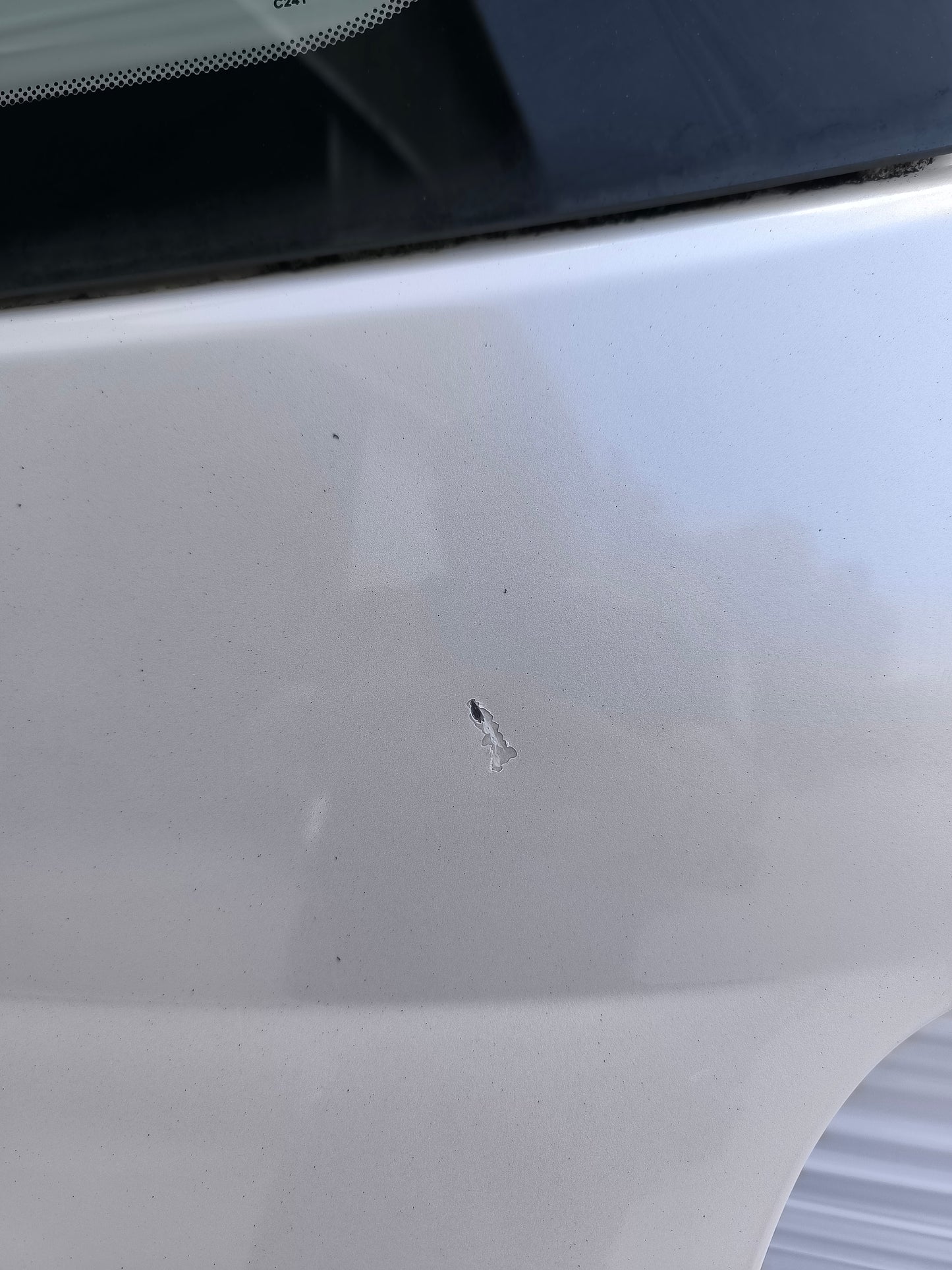 Portellone Fiat 500 anno 2008 bianco perla ecoAG8145