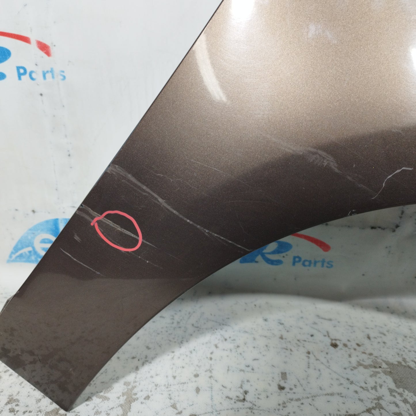 Front mudguard dx bronze Scenic X-Mod 2011 ecoAC10402
