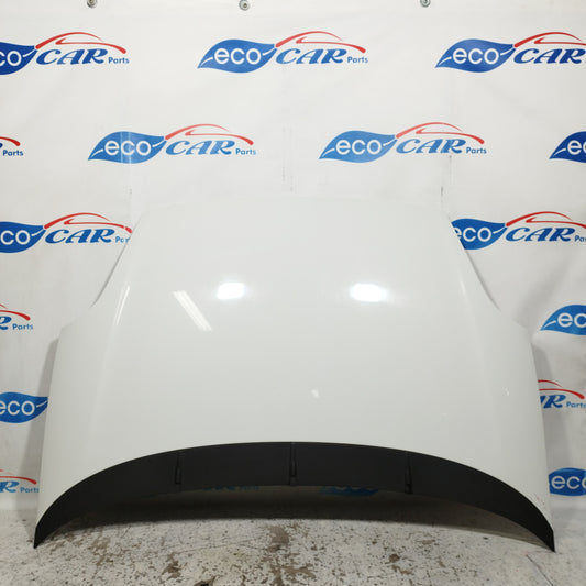 Weiße Motorhaube Fiat Punto Evo 2012 ecoAC10940
