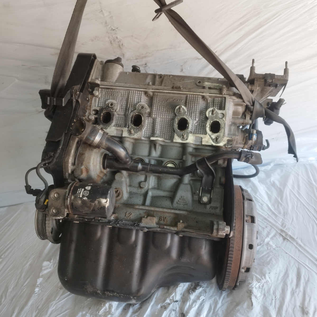 Motore Fiat 500 / New Panda / Lancia Y / Ford Ka 1.2 b 8v 70cv 2009-2016 cod: 169a4000 ecoAC17270
