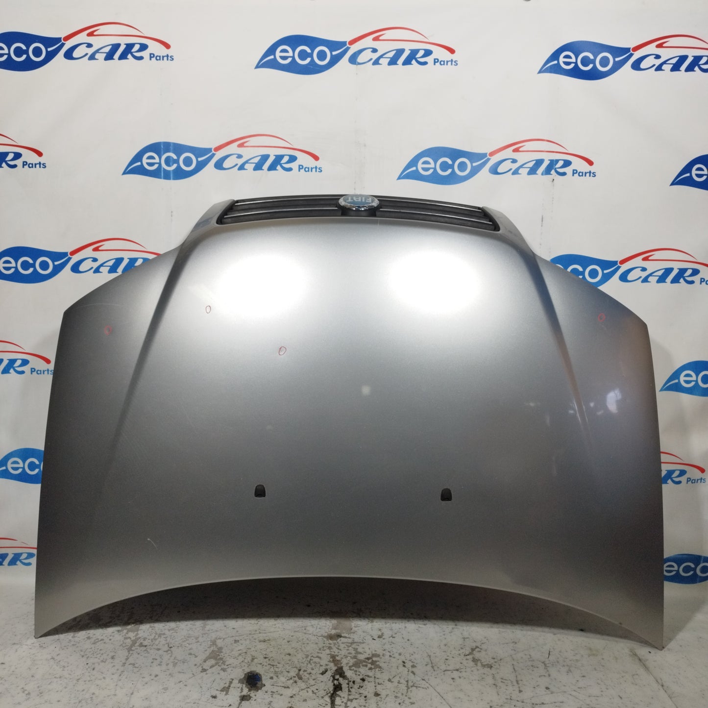 Graue Motorhaube Fiat Punto 2005 ecoAC10058