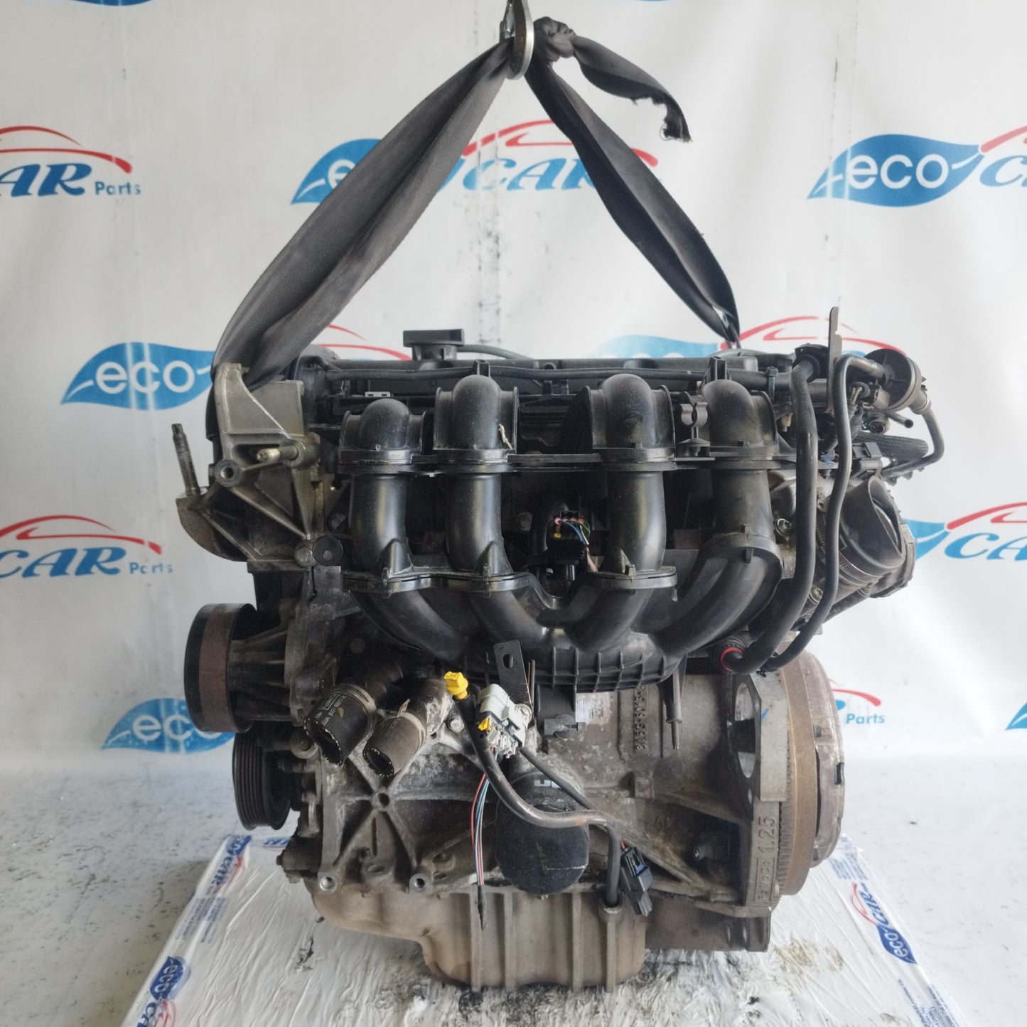 Motore Ford Fiesta 1.2 B 2010 cod: SNJA ecoAC8909