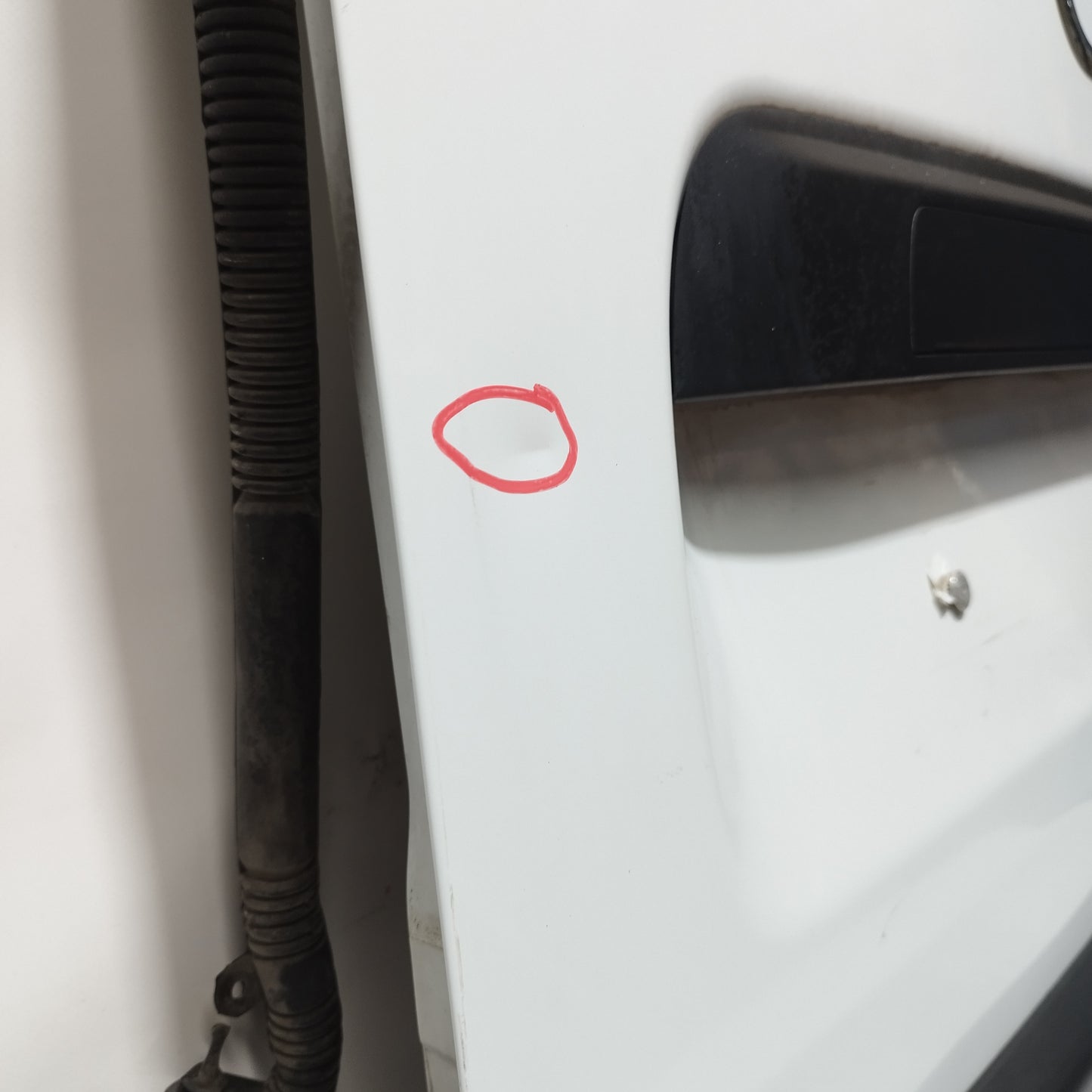 Sportello posteriore sx bianco Opel Movano 2015 ecoAC12189