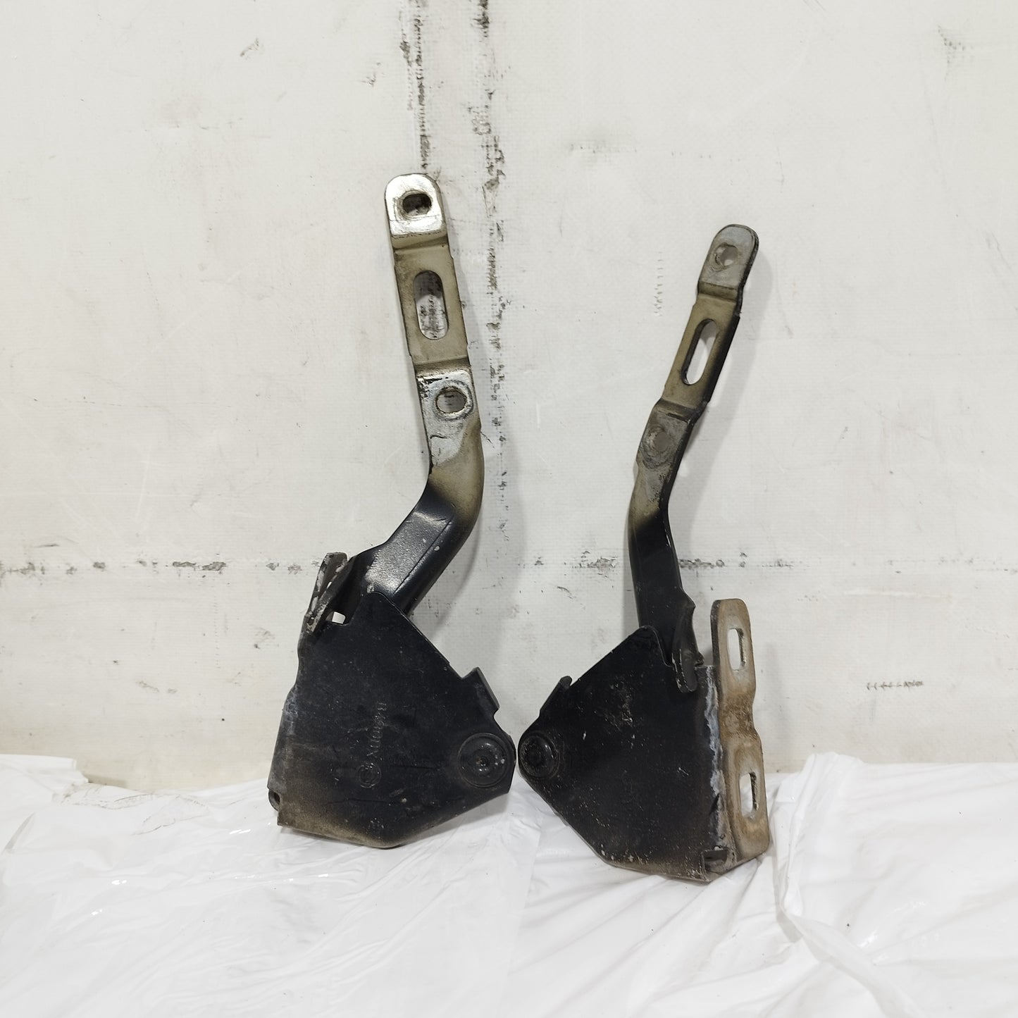 Cerniere cofano Lancia Musa (350) 2004-2012 ecoAC16458
