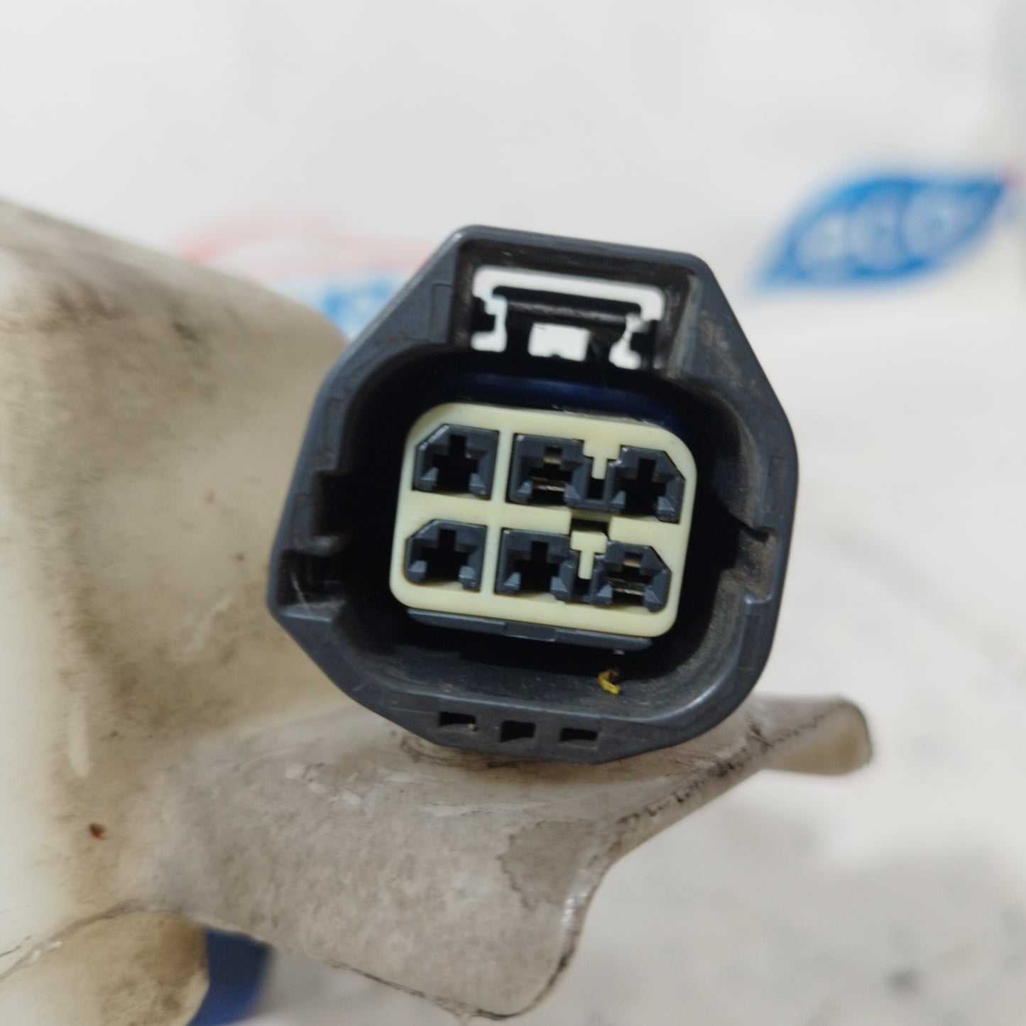 Vaschetta tergicristalli Ford Focus 2004 cod: 4M51-13K163 ecoAC10026