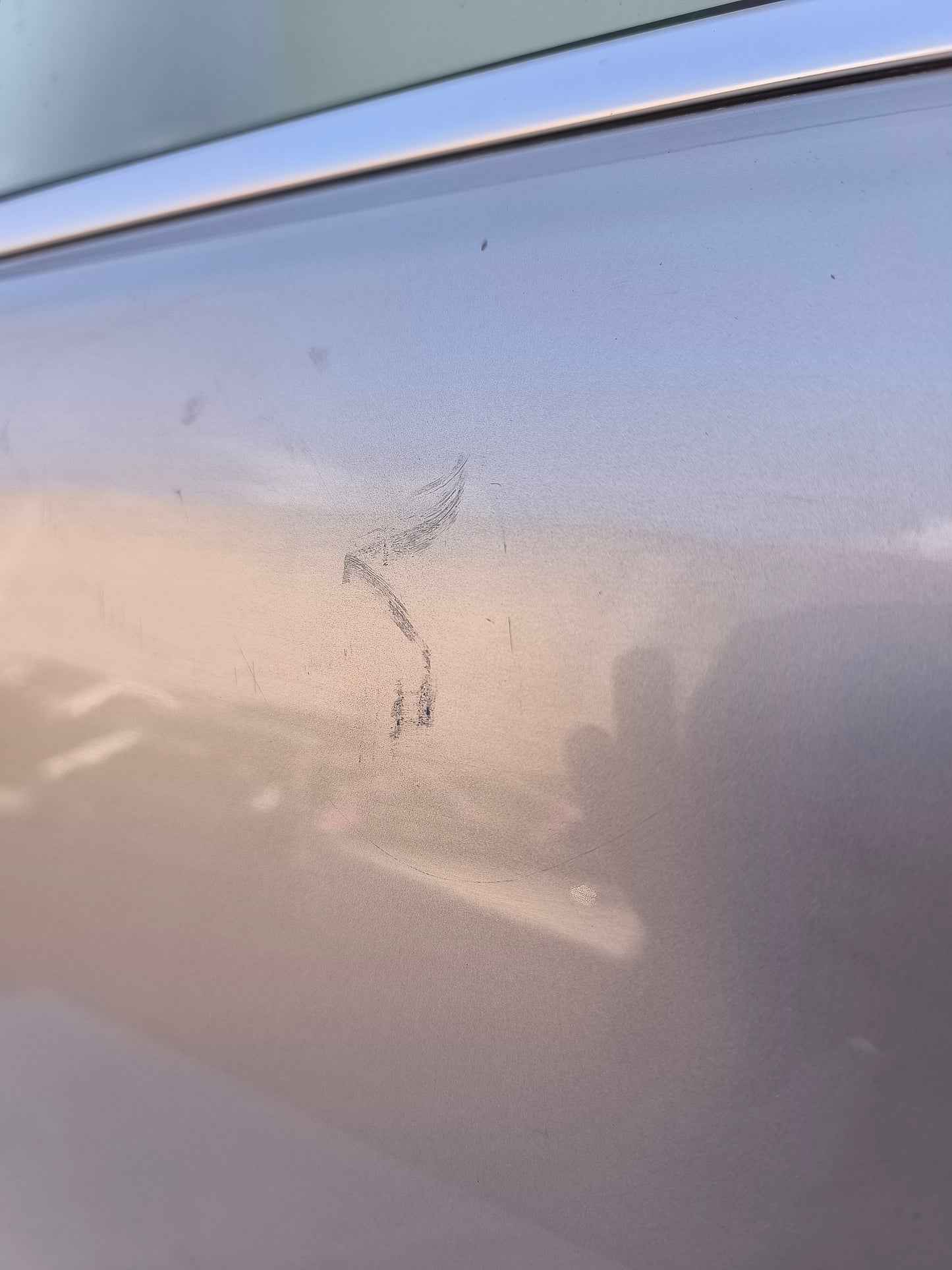 Sportello anteriore sx grigio argento Volkswagen Tiguan anno 2009 ecoAG7312