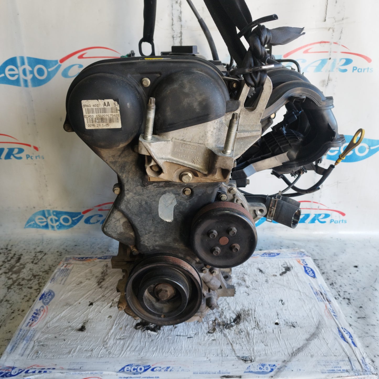 Motore Ford Fiesta 1.2 B 2010 cod: SNJA ecoAC11019