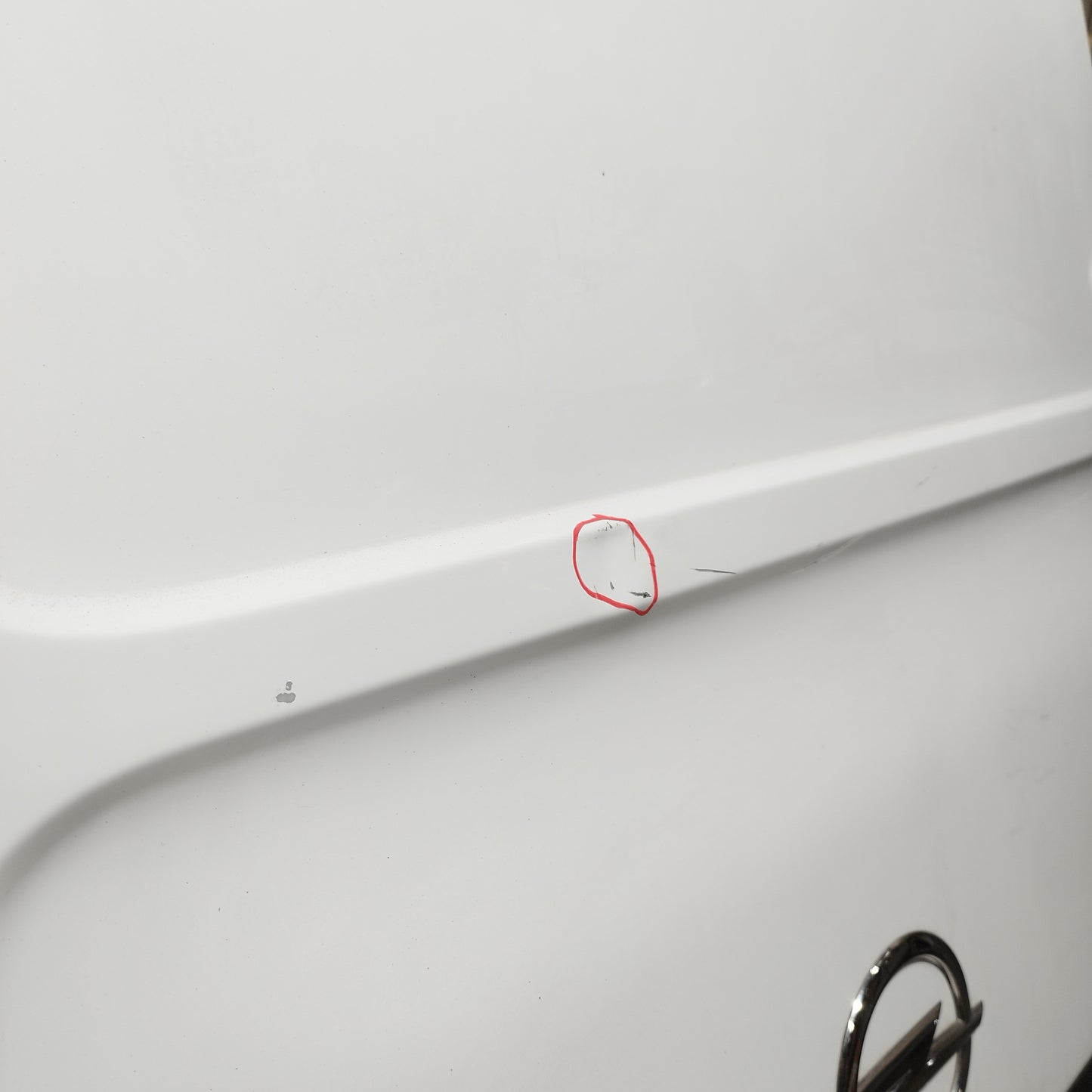 Sportello posteriore sx bianco Opel Movano 2015 ecoAC12189