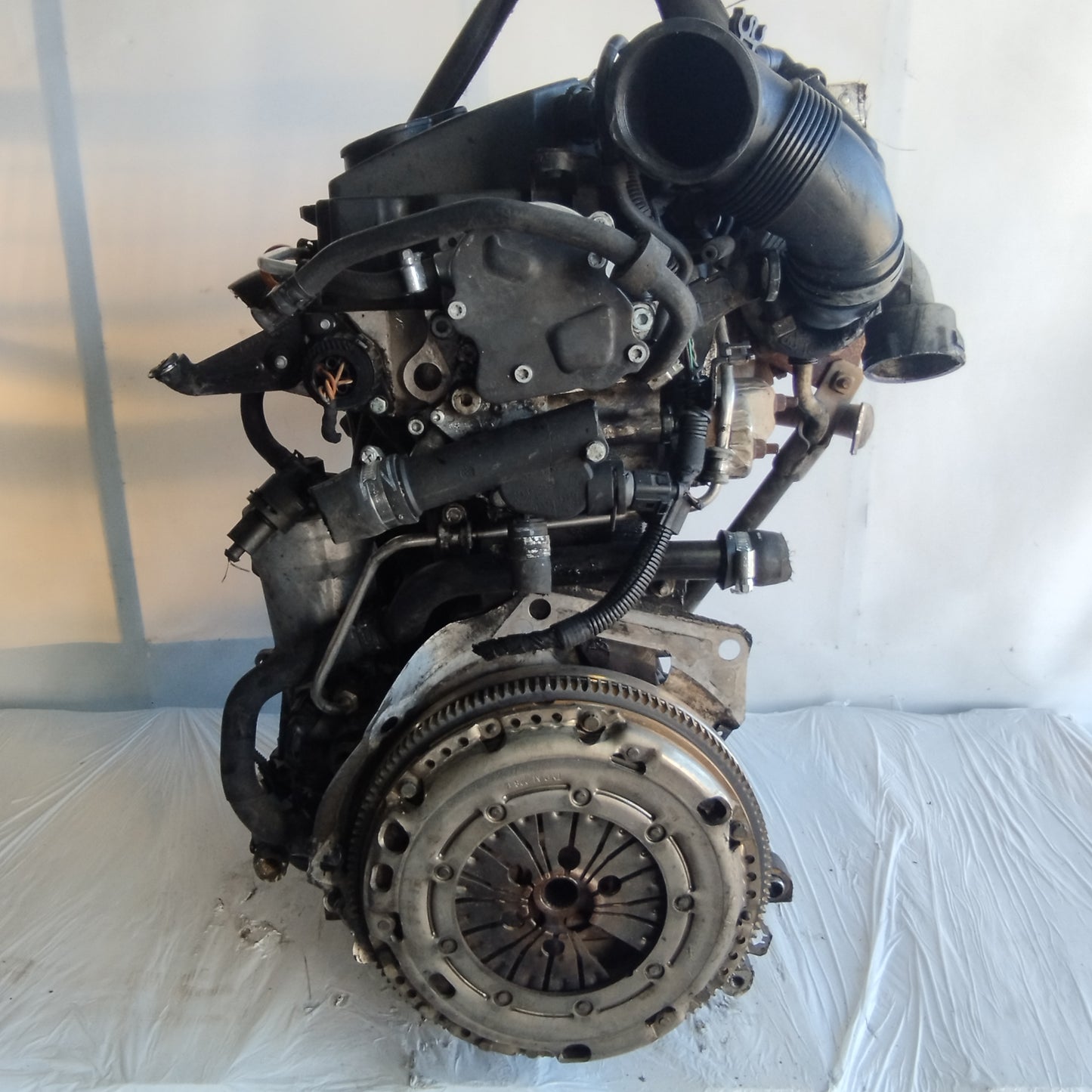 Motore Volkswagen Golf 5 / Audi A3 1.9 tdi 8v 105cv 2008 cod: BKC/BLS ecoAC6917