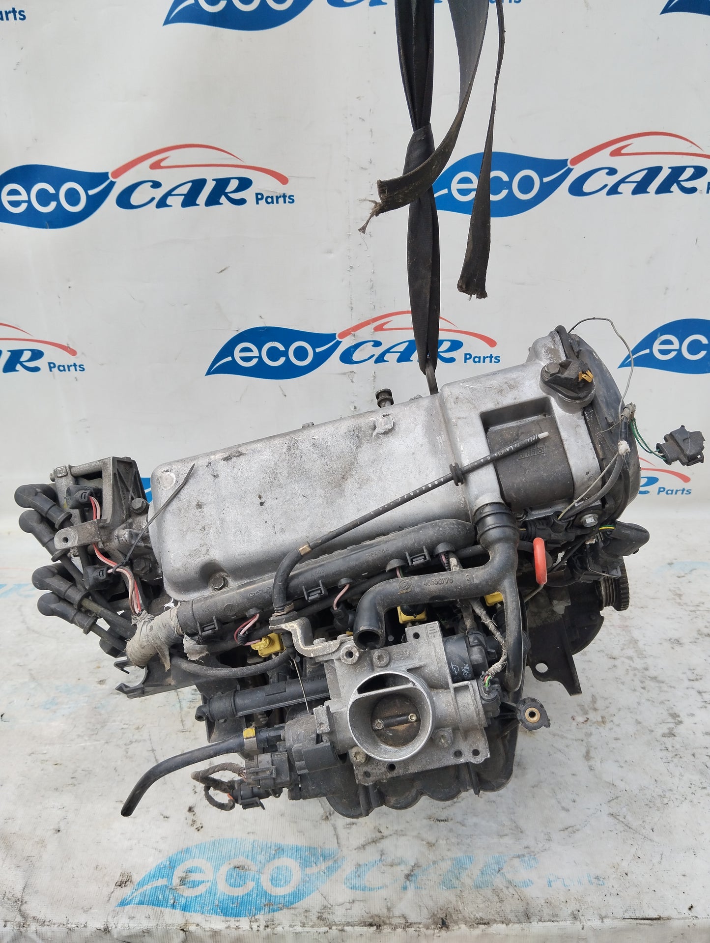 Fiat 600 1.1 b engine code: 187a1000 ecoAG5554