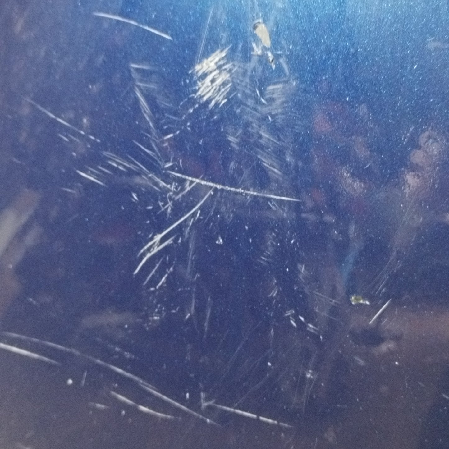 Parafango posteriore sx blu Smart Fortwo 450 2004 ecoAC9339