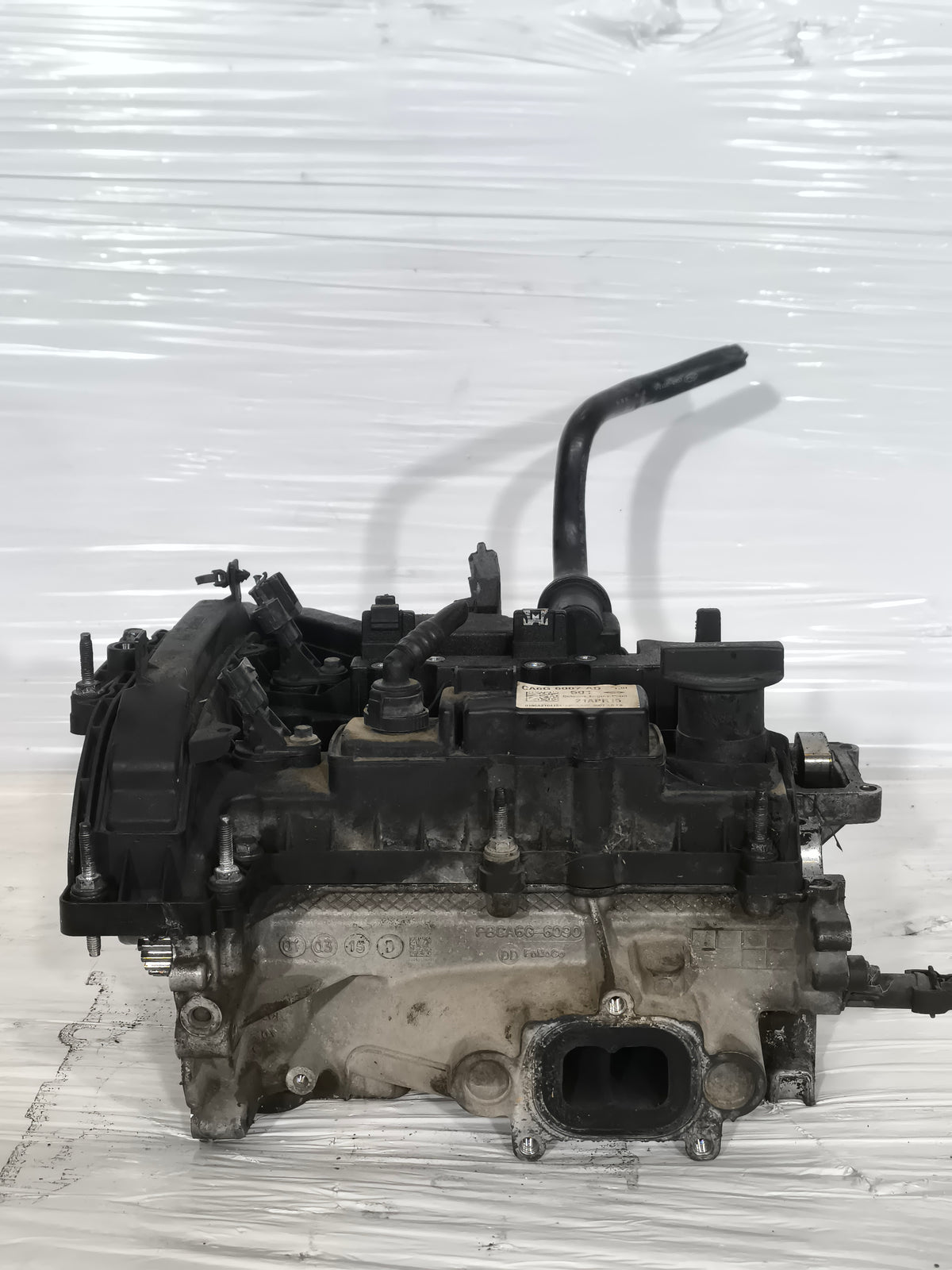 Testata Ford Fiesta VI (JA8) Hatchback 1.0 Ti-VCT 12V 65/80CV 2012-2017 cod: CA6G6007AD ecoAG9986