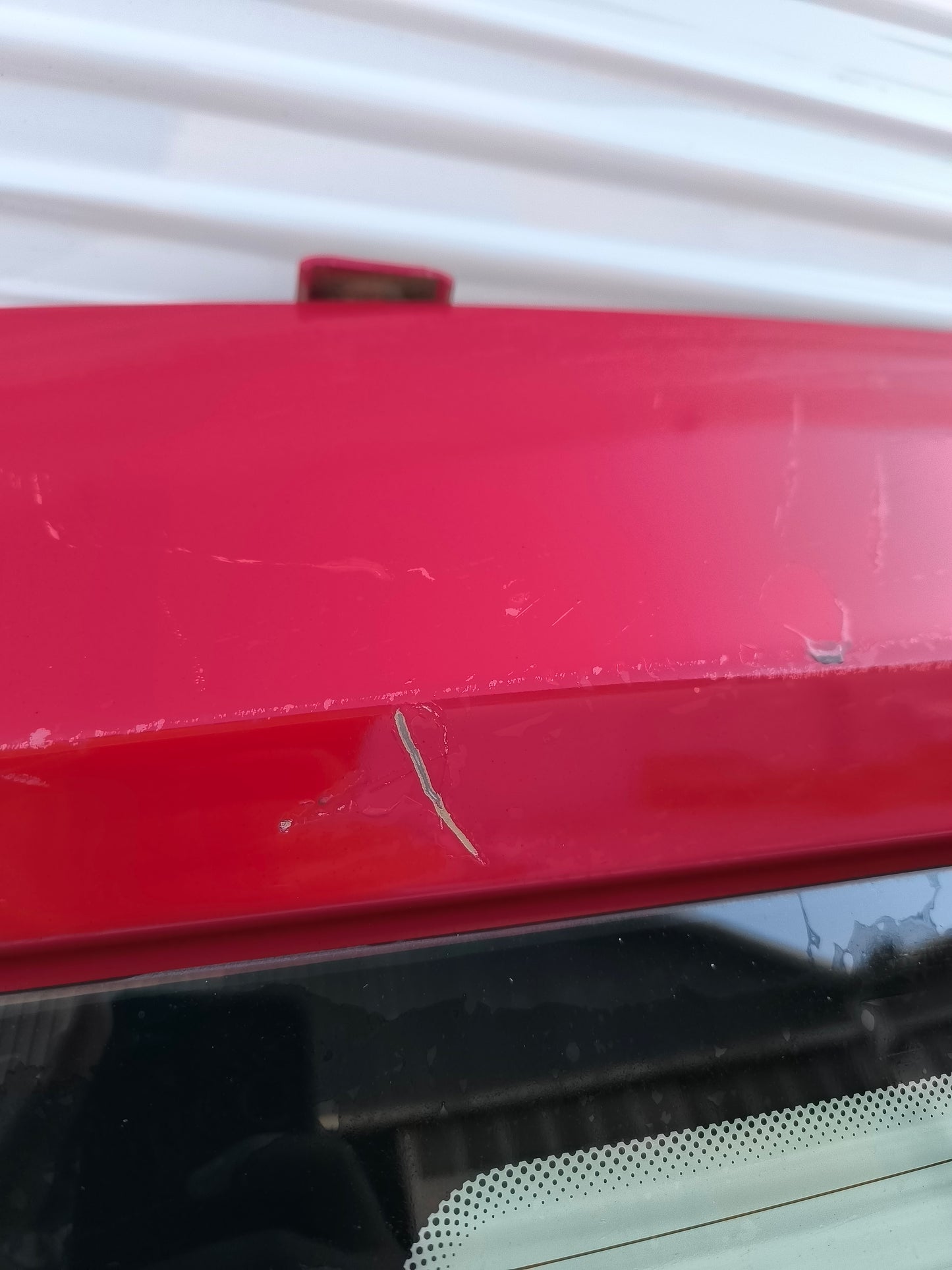 Portellone posteriore rosso Fiat Bravo anno 2007-2014 ecoAG7698