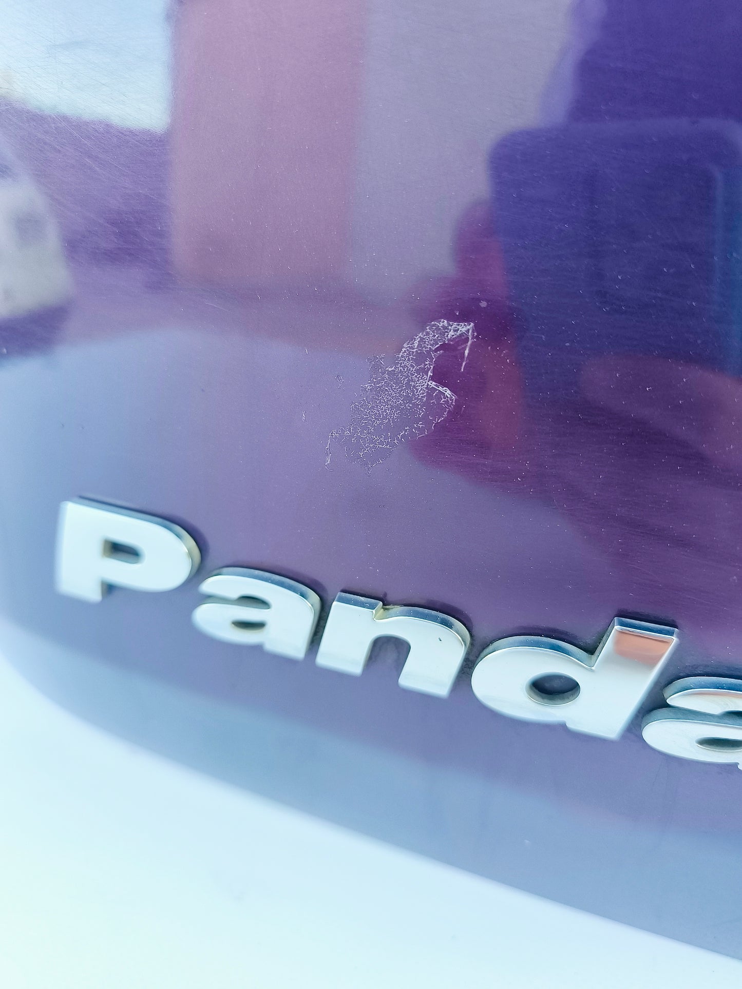 Portellone posteriore Fiat Panda 169 (MAMY) ecoAG6626