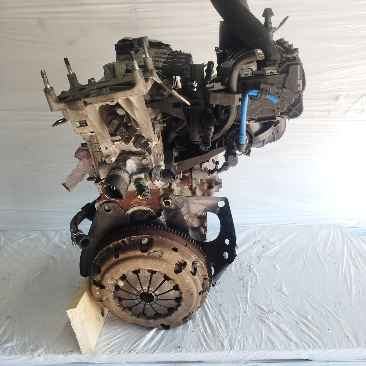 Motore Fiat Punto Evo / 500 / Panda / Lancia Y / Ford Ka 1.2 B 8v 70cv 2009-2016 cod: 169a4000 ecoAC17200