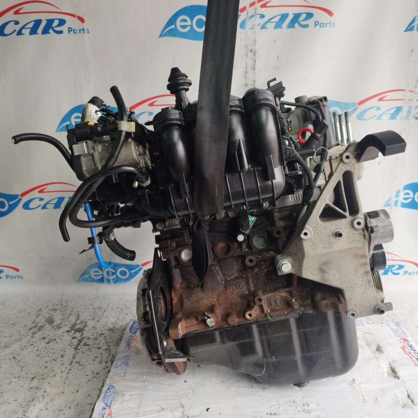 Motore Fiat Punto Evo / 500 / Panda / Lancia Y / Ford Ka 1.2 b 8v 70cv 2010 cod: 169a4000 ecoAC9946