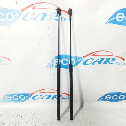 Ammortizzatori portellone Opel Corsa E 2015 ecoAC10486