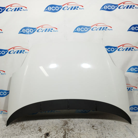 Weiße Motorhaube Fiat Punto Evo 2012 ecoAC10940