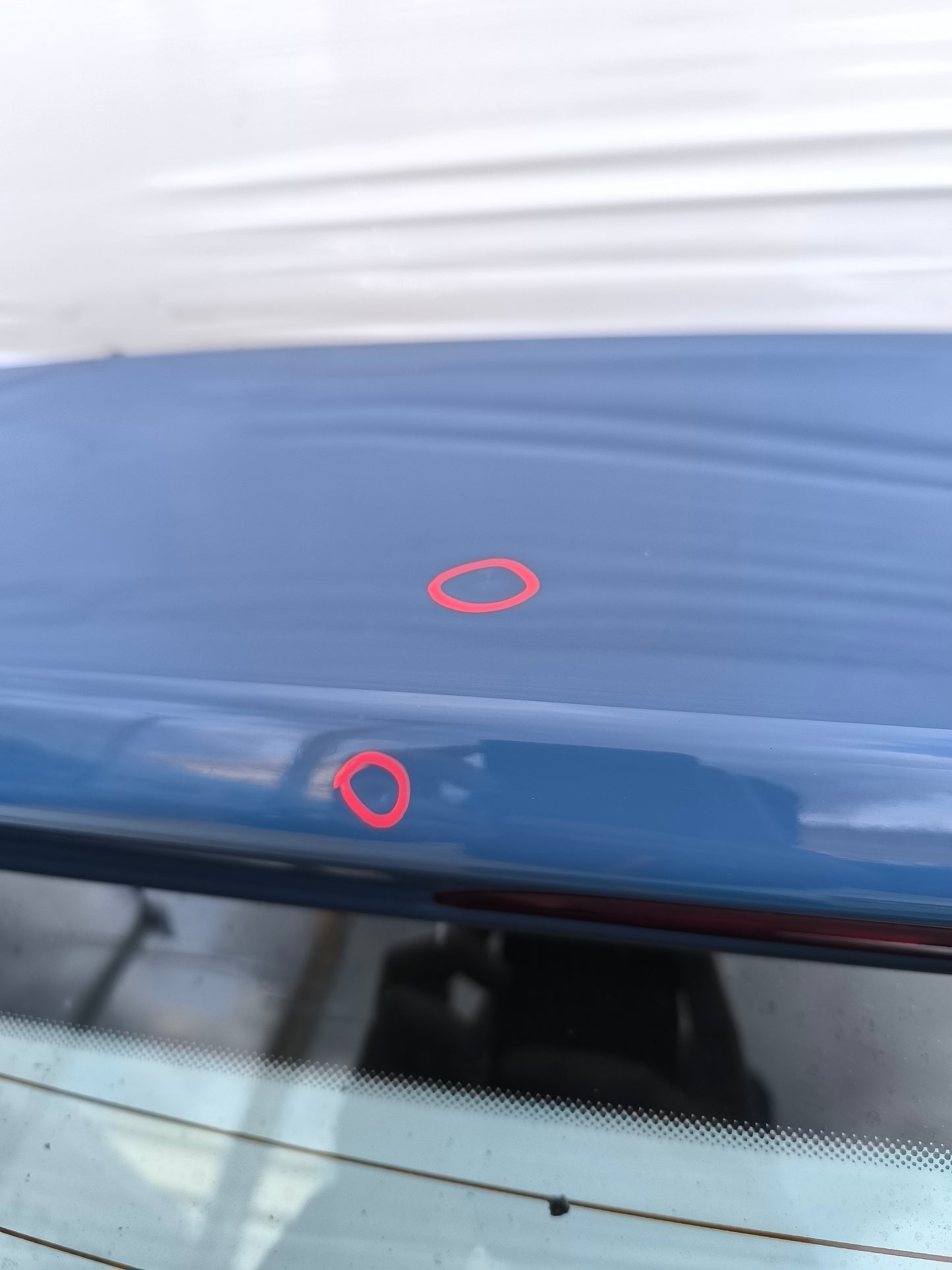 Portellone blu pastello Hyundai I10 anno 2017 ecoAG8002