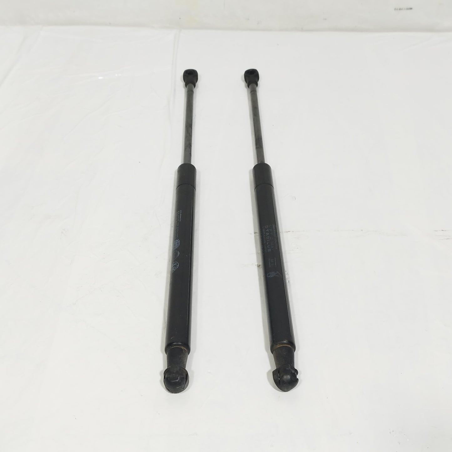 Ammortizzatori portellone Fiat New Panda Cross 2021 ecoAC14981