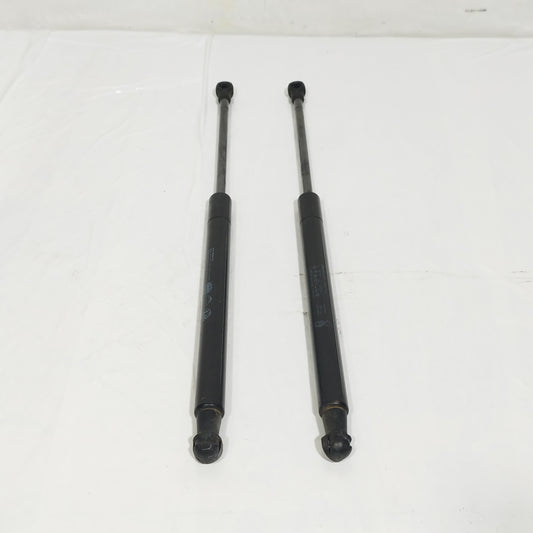 Ammortizzatori portellone Fiat New Panda Cross 2021 ecoAC14981