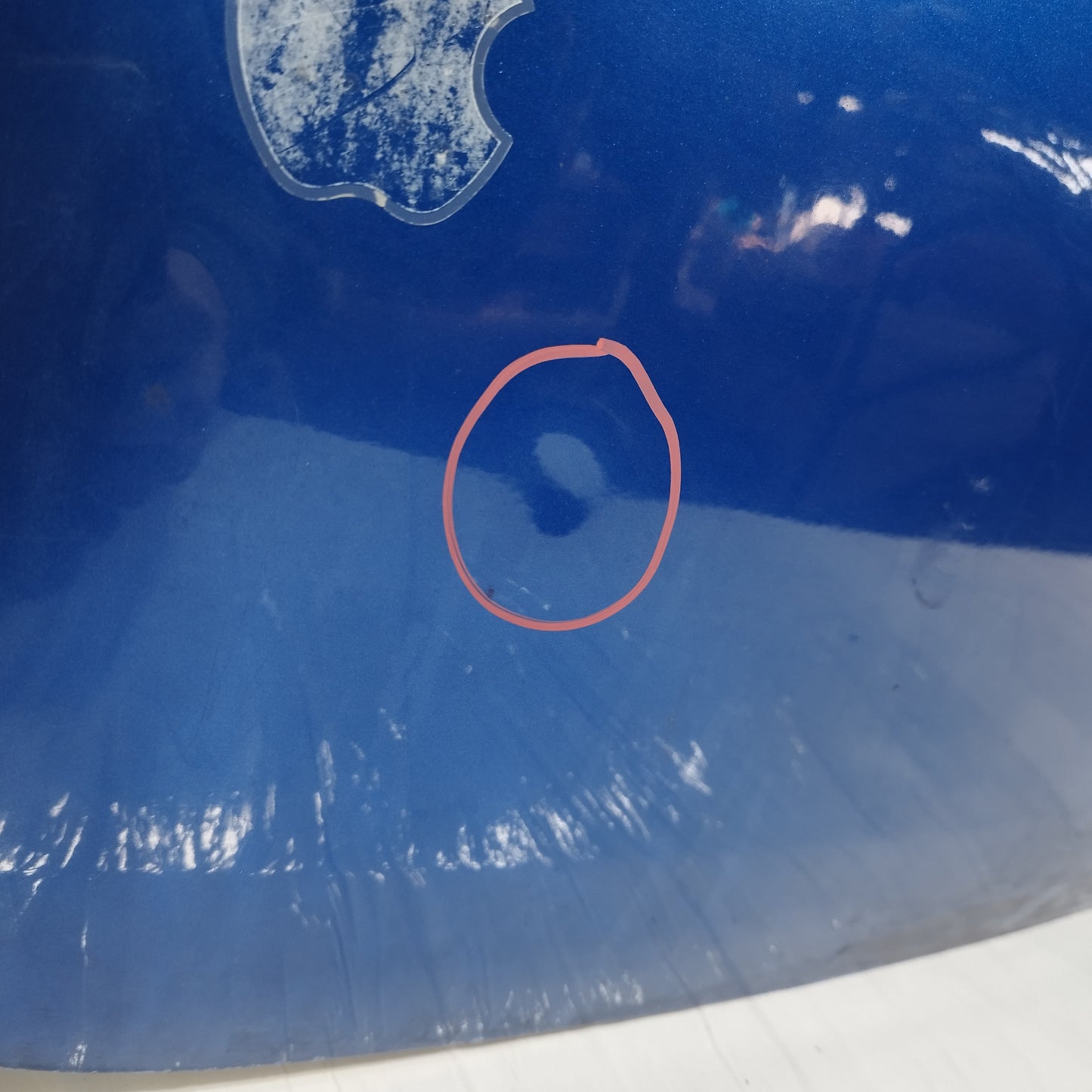 Portellone blu Fiat Punto Evo 2009-2012 ecoAC15308