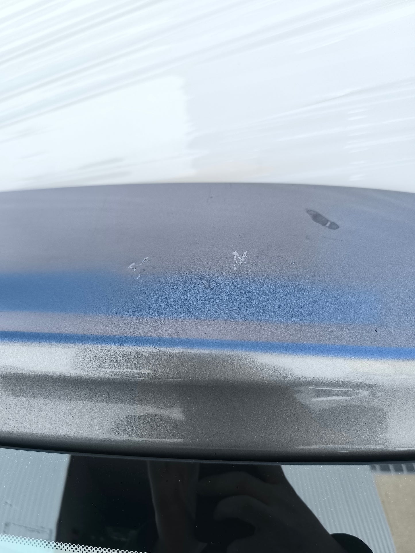 Portellone posteriore grigio quarzo Fiat 500 anno 2010 ecoAG7891