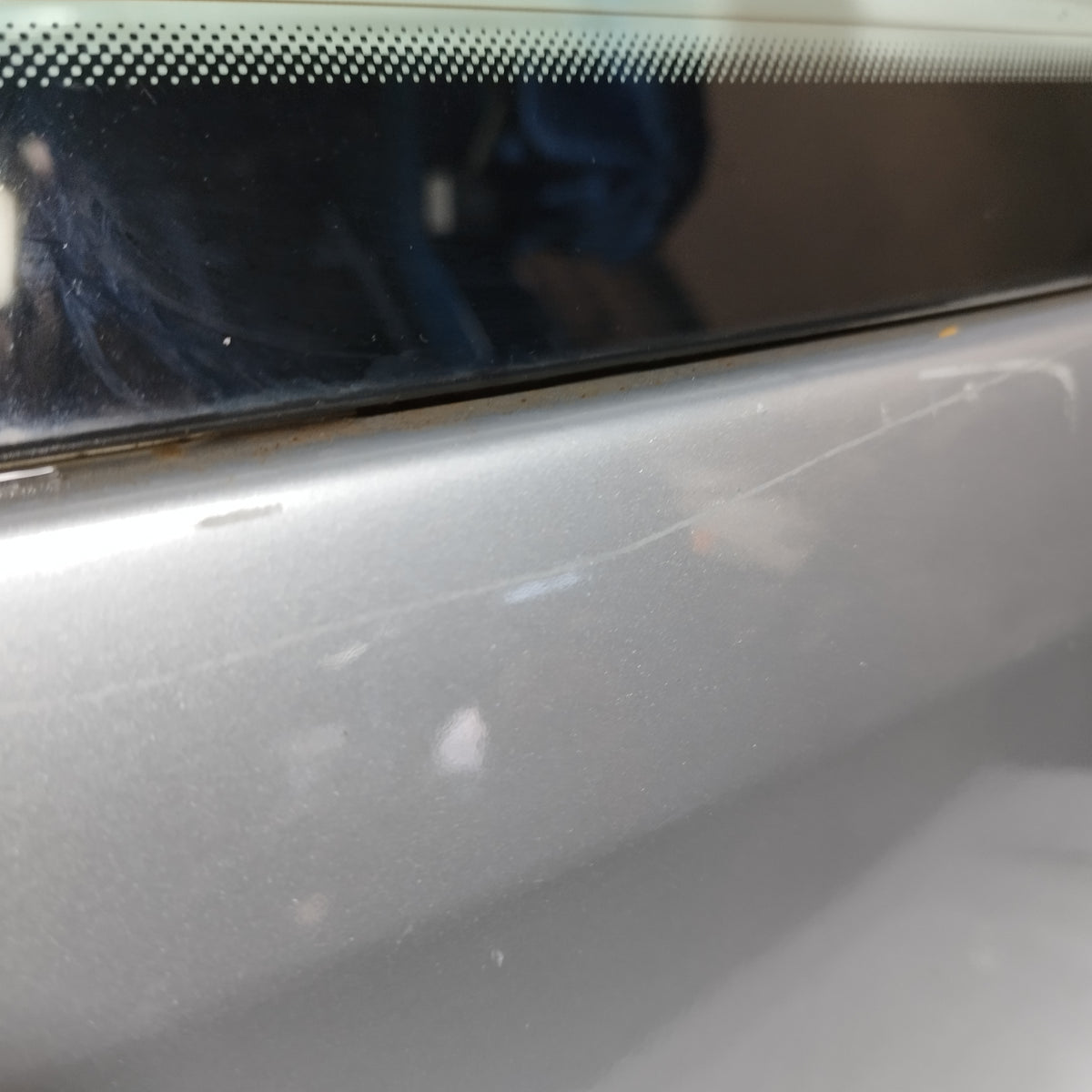 Portellone grigio Volkswagen Polo 2009-2017 ecoAC16960