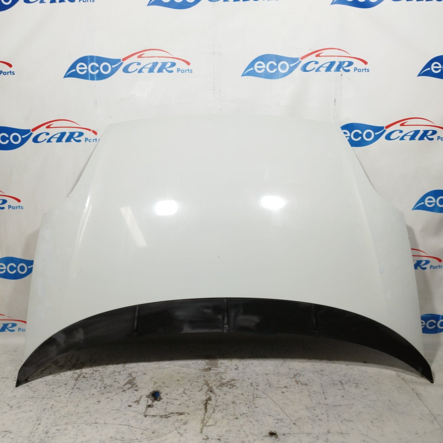 Weiße Motorhaube Fiat Punto Evo 2012 ecoAC10010