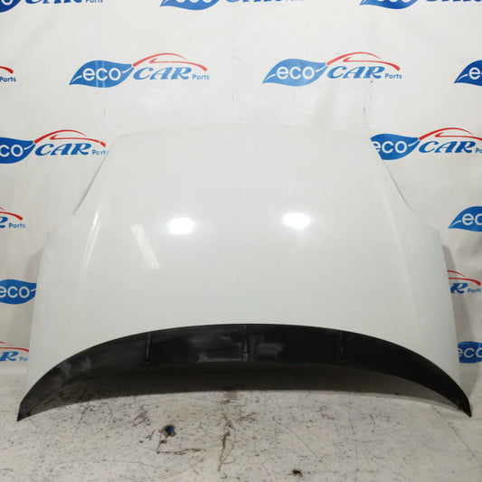Weiße Motorhaube Fiat Punto Evo 2012 ecoAC10010