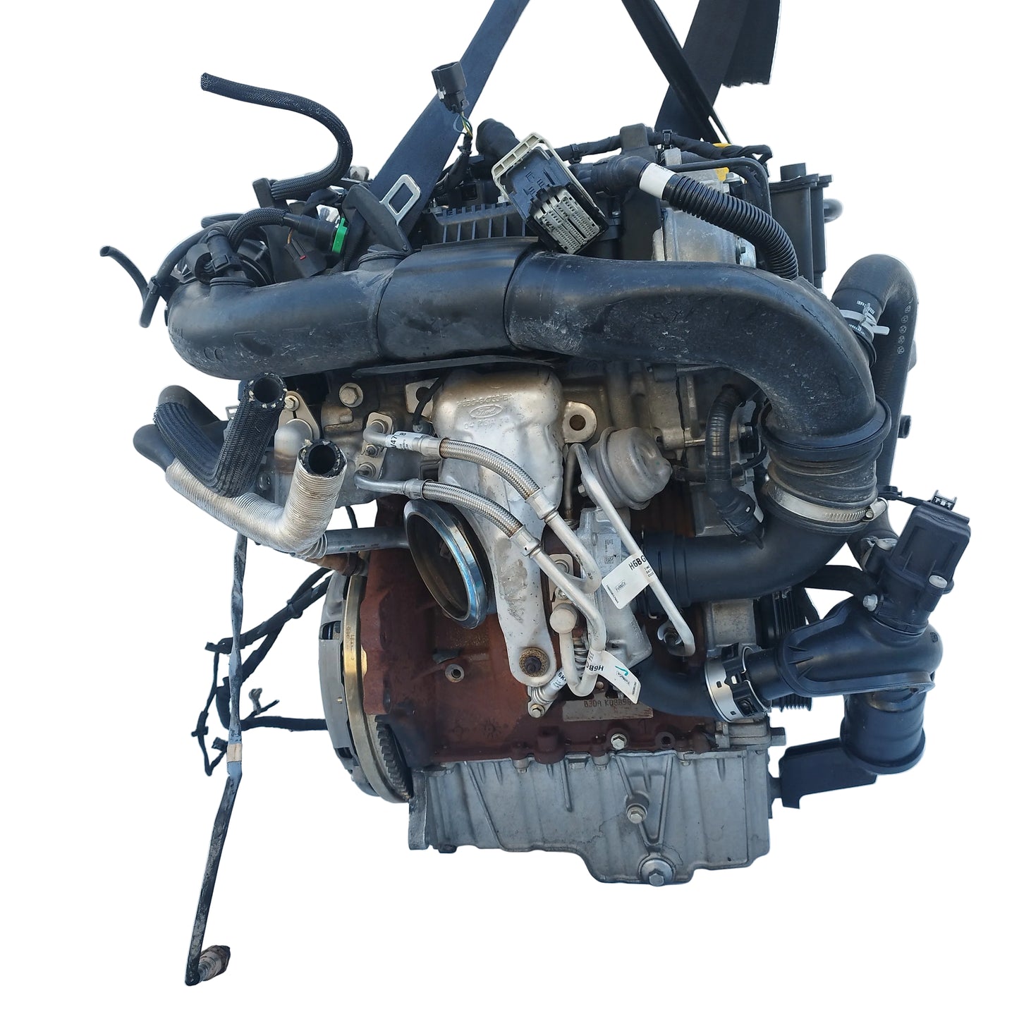Motore Ford Focus 1.0 TB 2018-2025 cod: B3DA ecoDM096