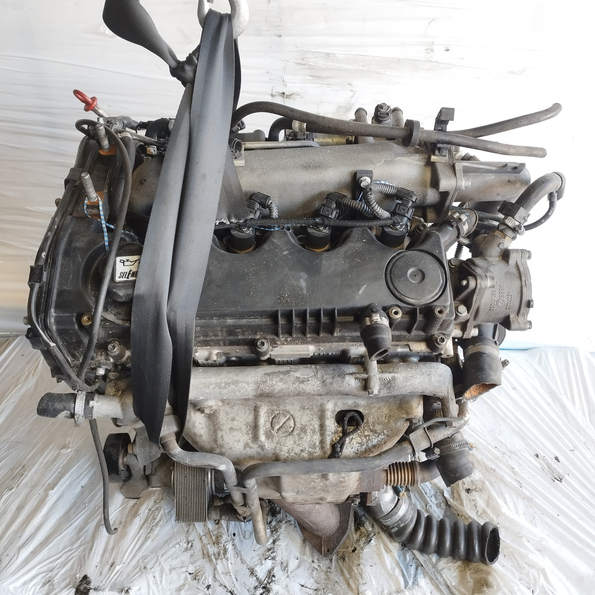 Motore Fiat Punto II 1999-2003 1.9 JTD ecoAC17115