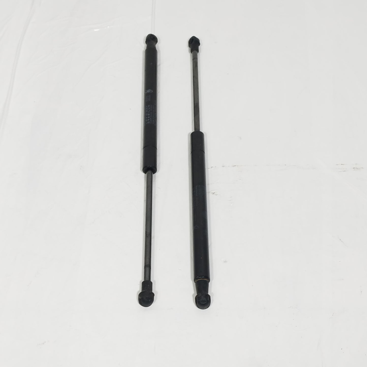 Ammortizzatori portellone Fiat New Panda Cross 2021 ecoAC14981
