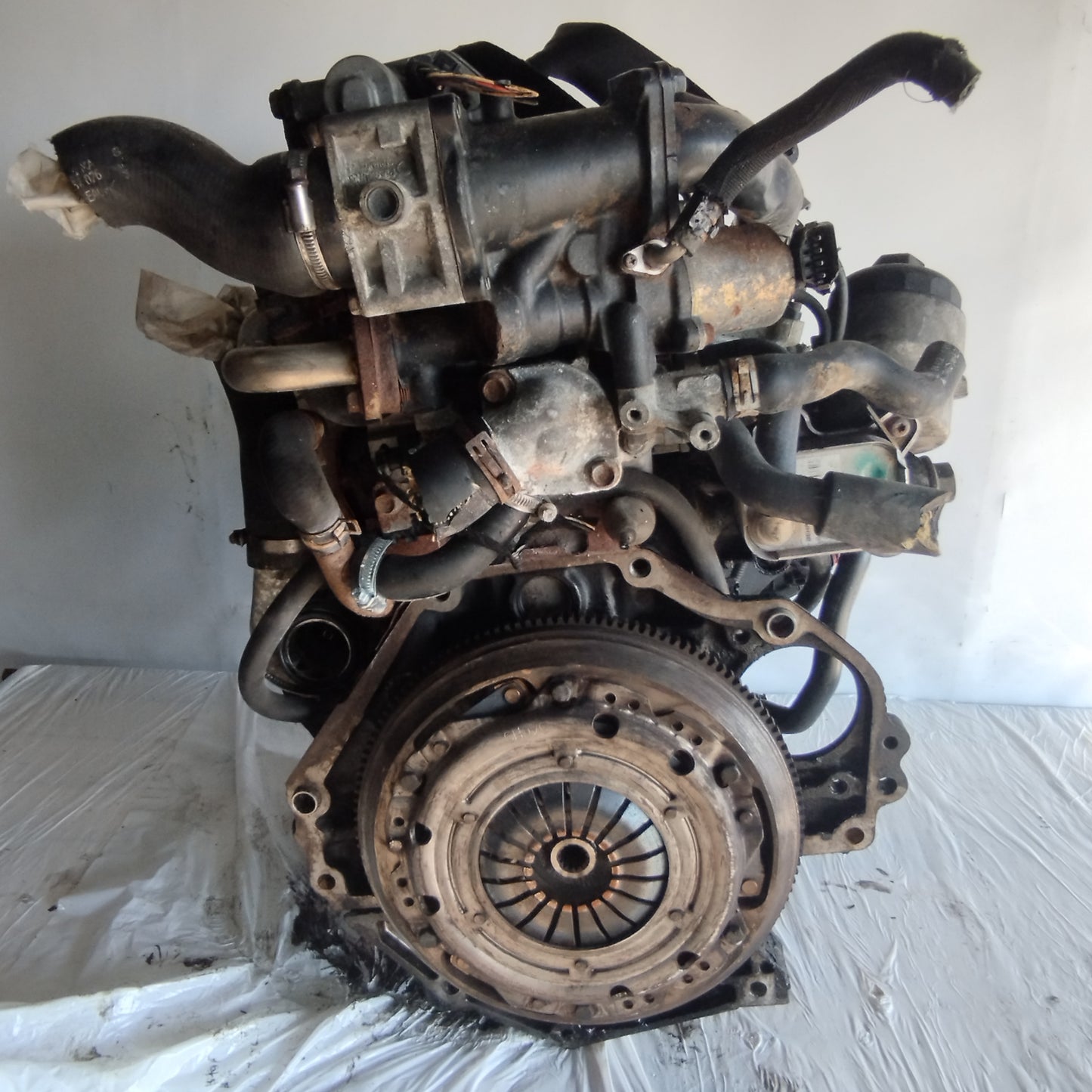 Opel Astra H 1.7 TD 2004 engine code: Z17DTL ecoAC7522