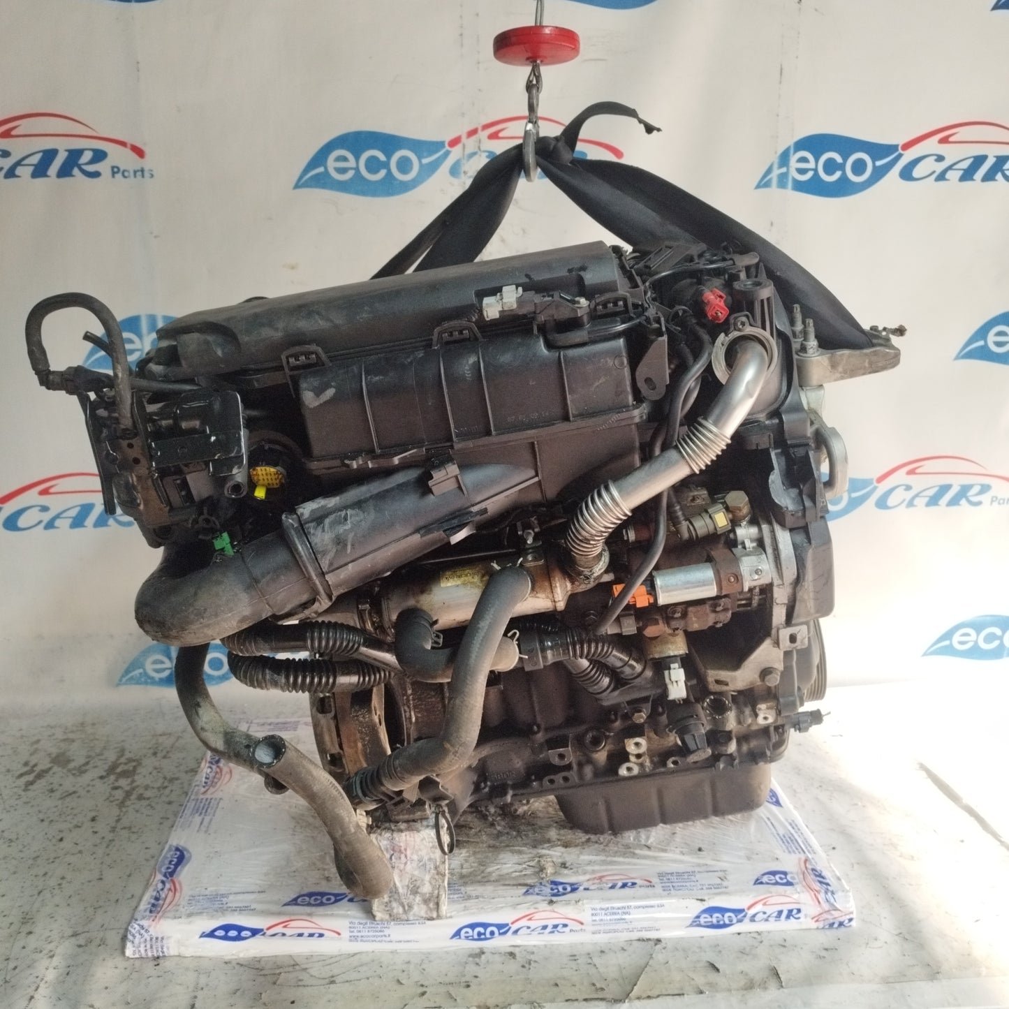 Motore Ford Fiesta  1.4 tdci 68cv 2008 cod: f6jd  ecoAC10053